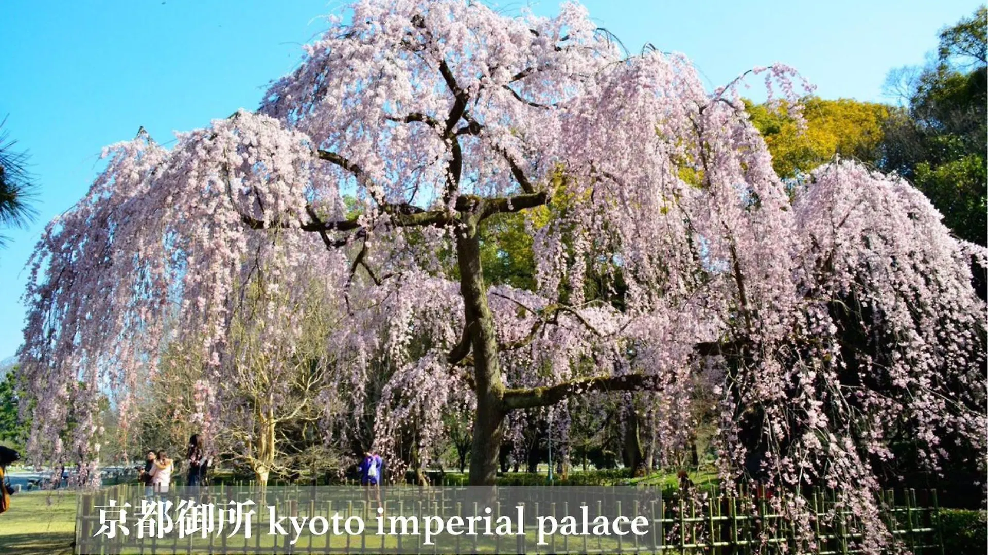 茜 Akane 京都西陣 Nyaraló Kiotó